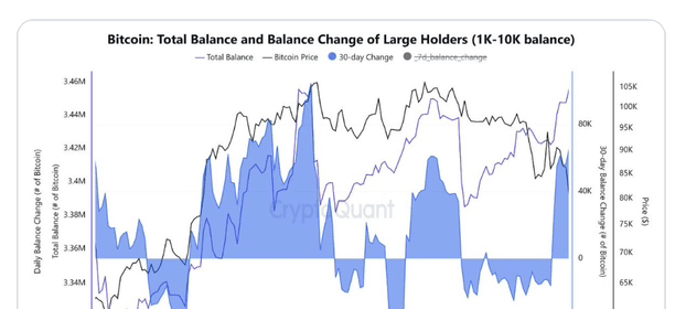 Ballenas Bitcoin Acumulan en Binance: ¿Cambio de Tendencia?