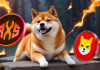 Shiba Inu Promete Sorpresas: El Equipo Defiende el Potencial del Proyecto